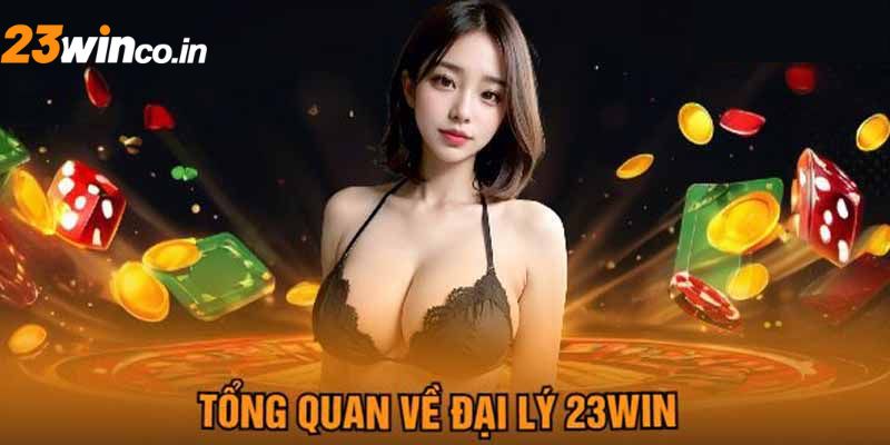 Chính sách hoa hồng của đại lý 23WIN rất linh hoạt khi thanh toán theo ngày