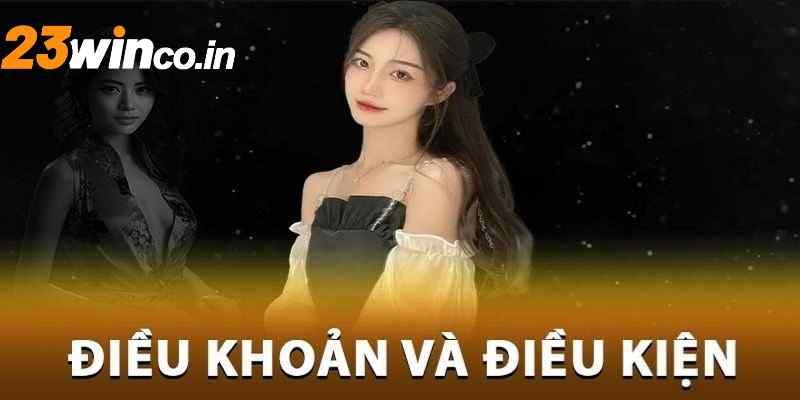 Đôi nét về điều khoản điều kiện 23WIN 