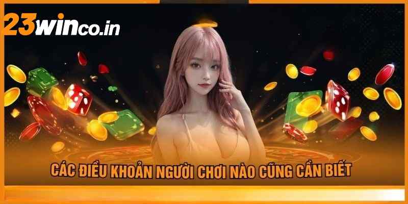 Điều khoản điều kiện 23WIN về dịch vụ thanh toán 