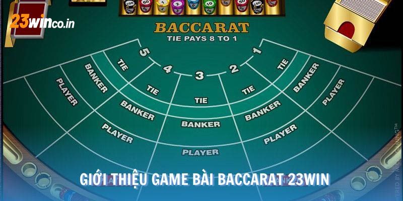 Sảnh cược đầu tư đầy đủ về hình ảnh đến nội dung