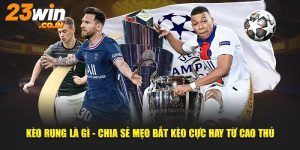 Kèo Rung Là Gì - Chia Sẻ Mẹo Bắt Kèo Cực Hay Từ Cao Thủ